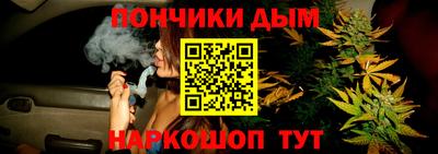 стафф Лесосибирск