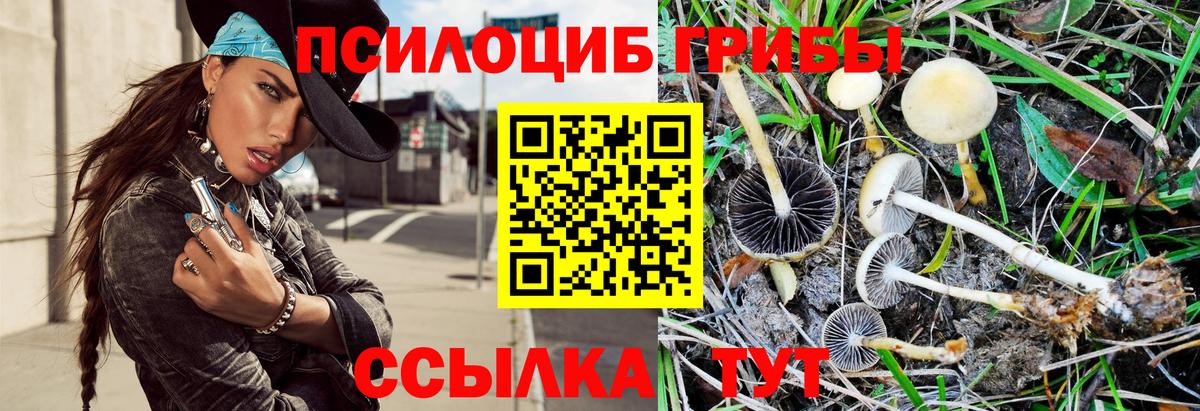 Галлюциногенные грибы Magic Shrooms Верхняя Пышма