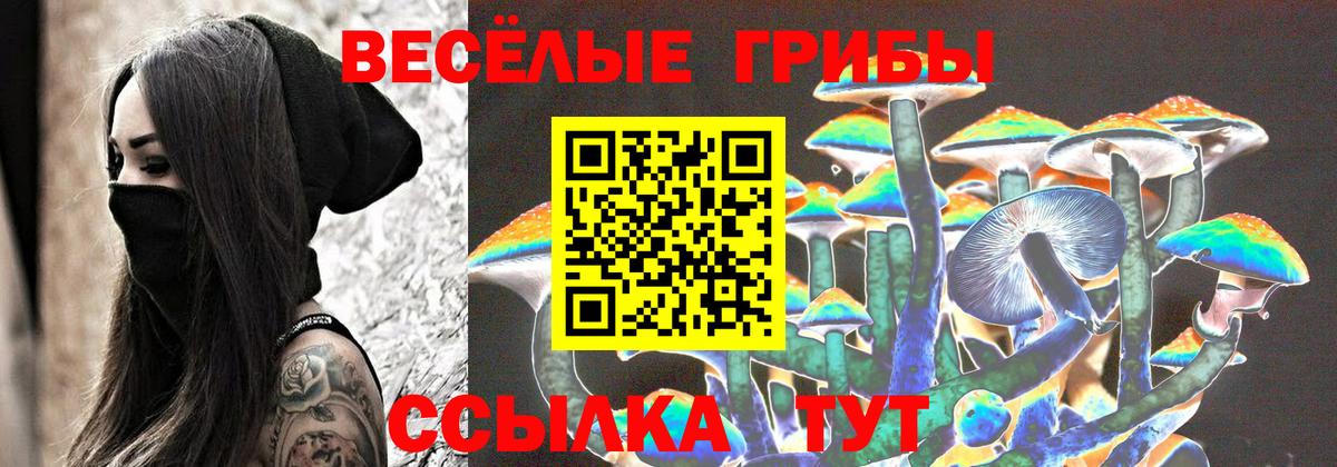хочу   Галлюциногенные грибы MAGIC MUSHROOMS  Вход с VPN  Верхняя Пышма 